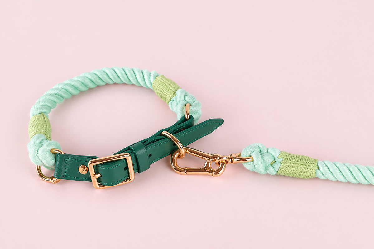 Détail illustré du collier Menthe et de son mousqueton — fond rose pastel