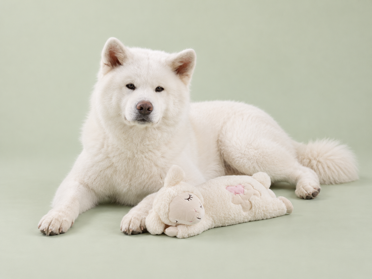 Peluche mouton à cœur battant avec Neji — studio vert sauge