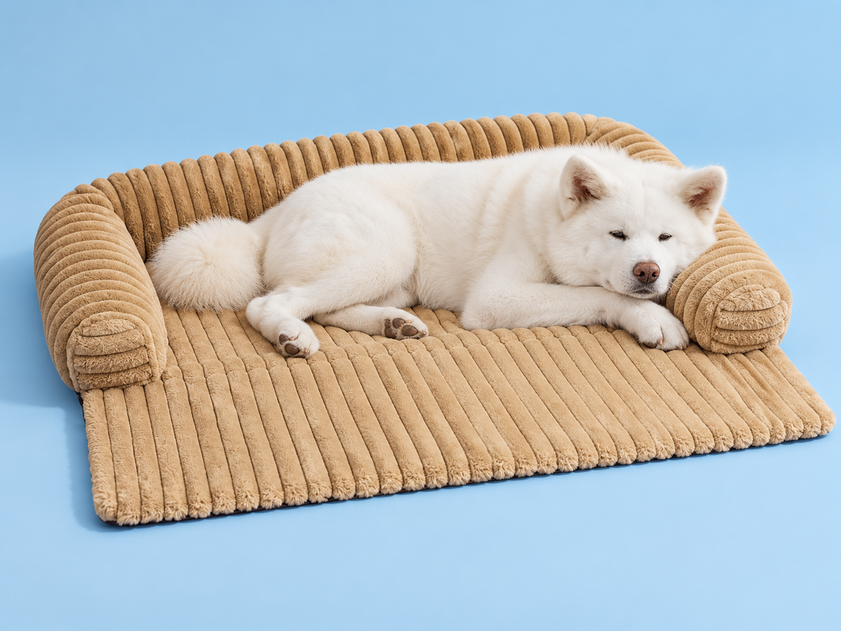 Coussin Sable avec Neji — studio détail