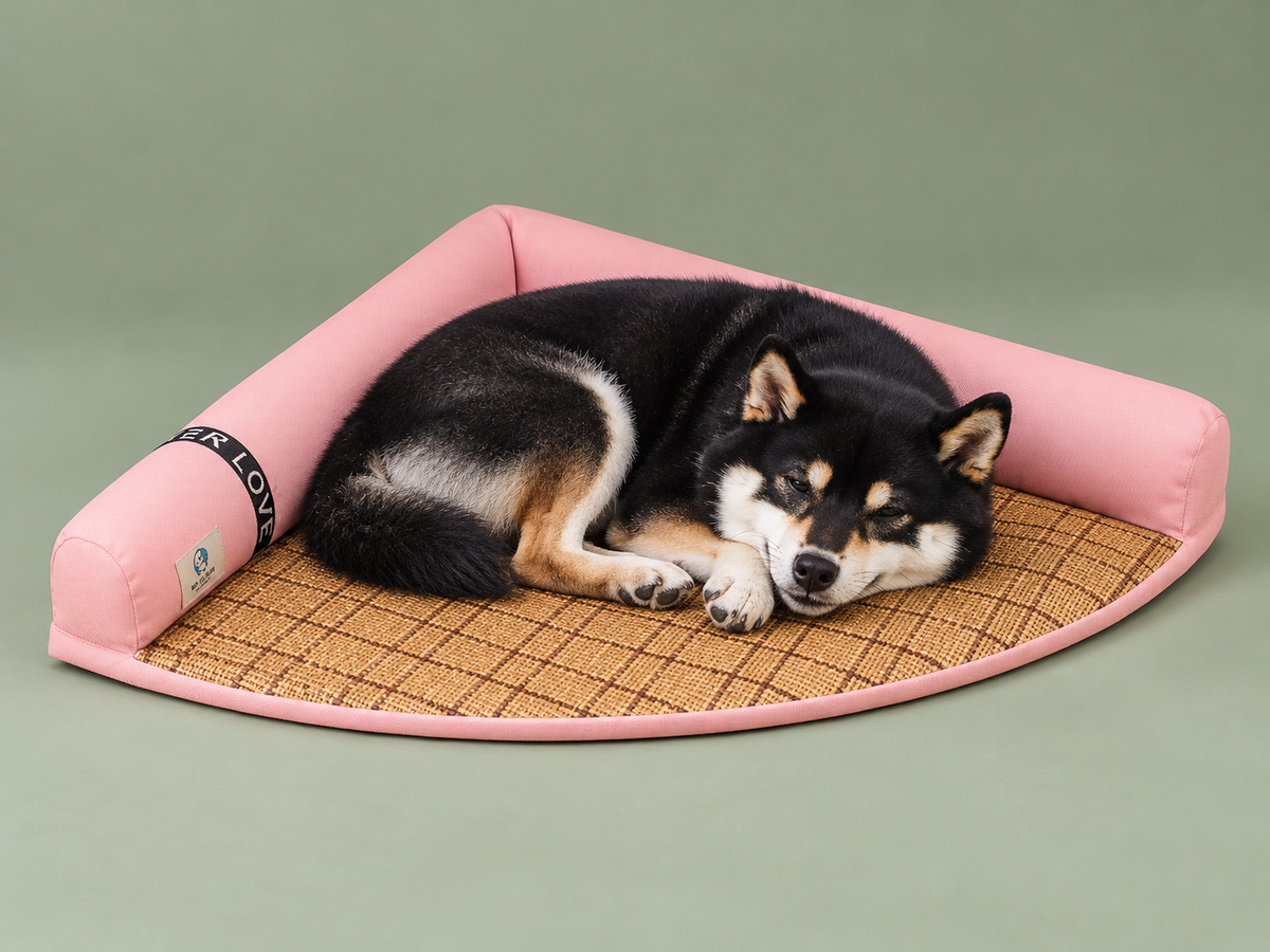 Tapis rose avec Seiji — studio