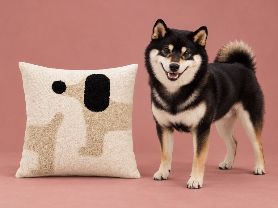 Coussin Crème — 45 × 45 cm avec Seiji — studio