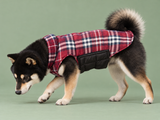 Gilet Bordeaux avec Seiji — studio détail