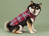 Gilet Bordeaux avec Seiji — studio