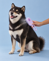 Seiji avec la brosse lilas diffusant une fine brume sur fond bleu pastel