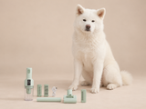 Aspirateur CA20 vert et ses accessoires avec Neji, Akita blanc — mise en scène studio
