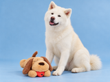 Peluche chien à cœur battant avec Neji — studio bleu pastel