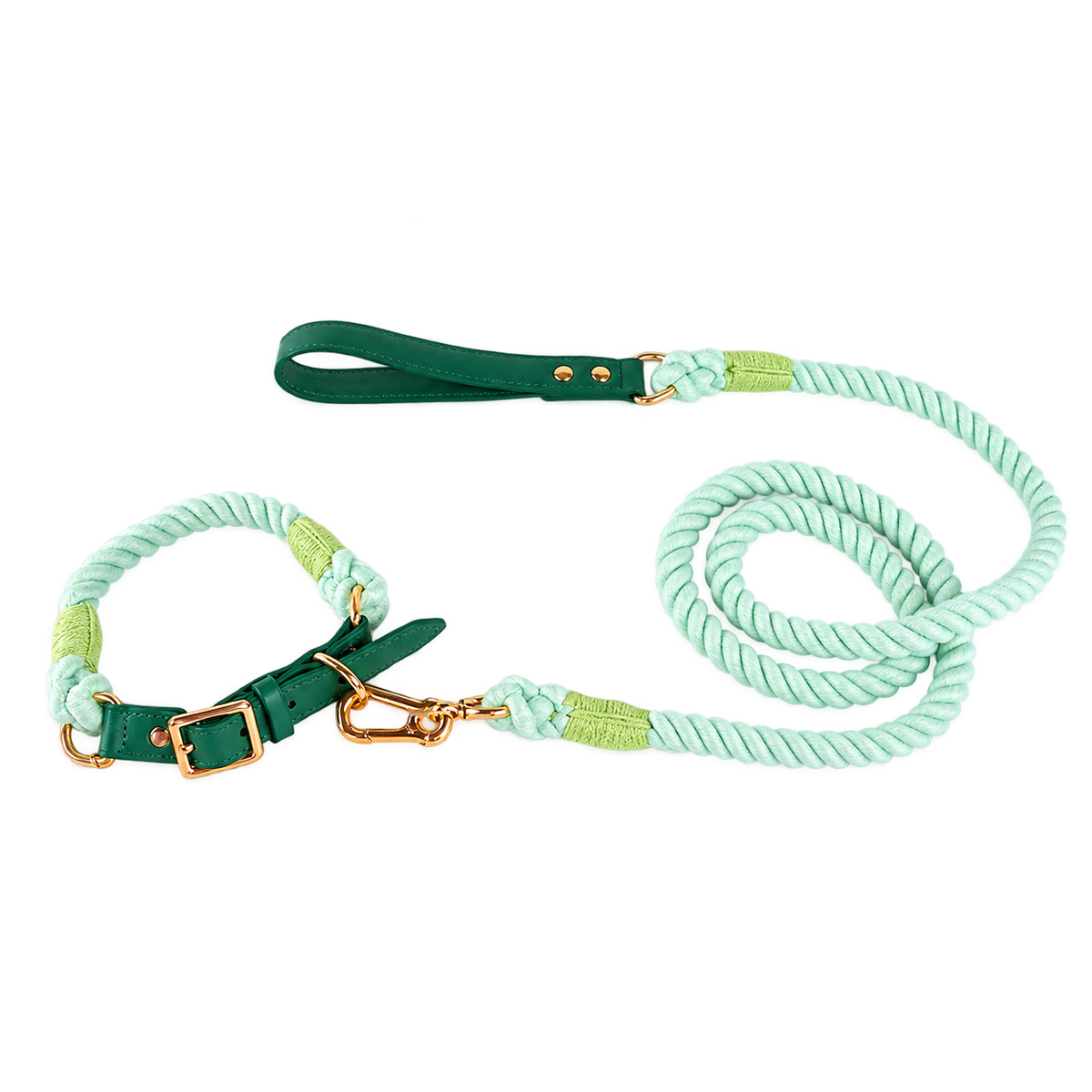 Ensemble laisse de 120 cm et collier vert menthe — détouré