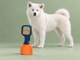 Pince Bleu & orange — compact avec Neji — studio
