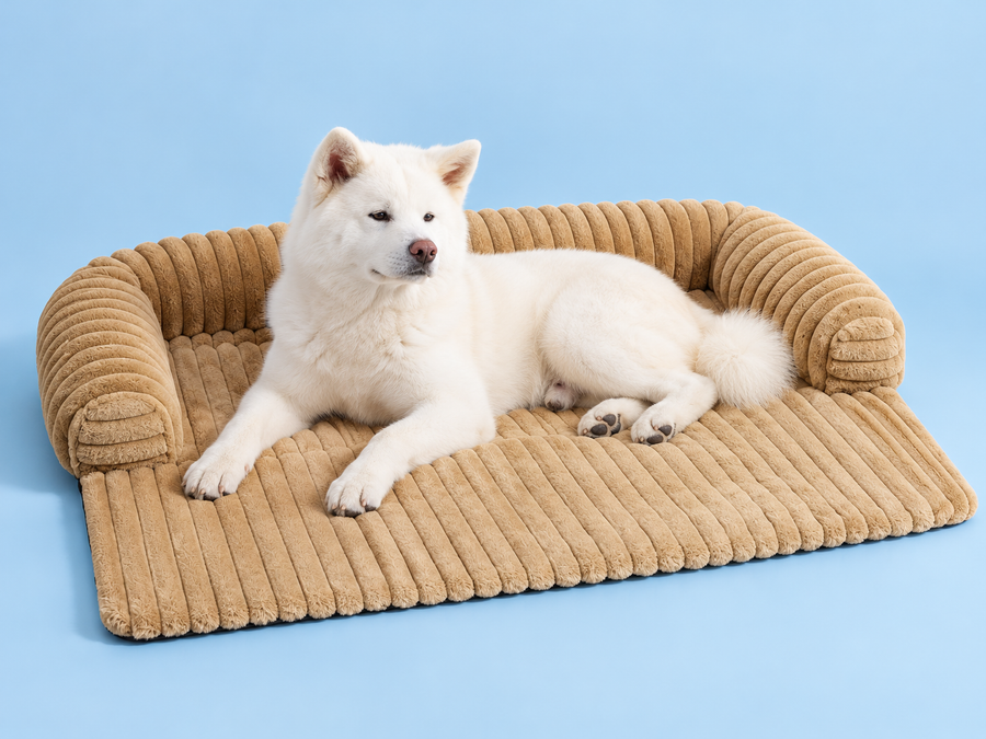 Coussin Sable avec Neji — studio