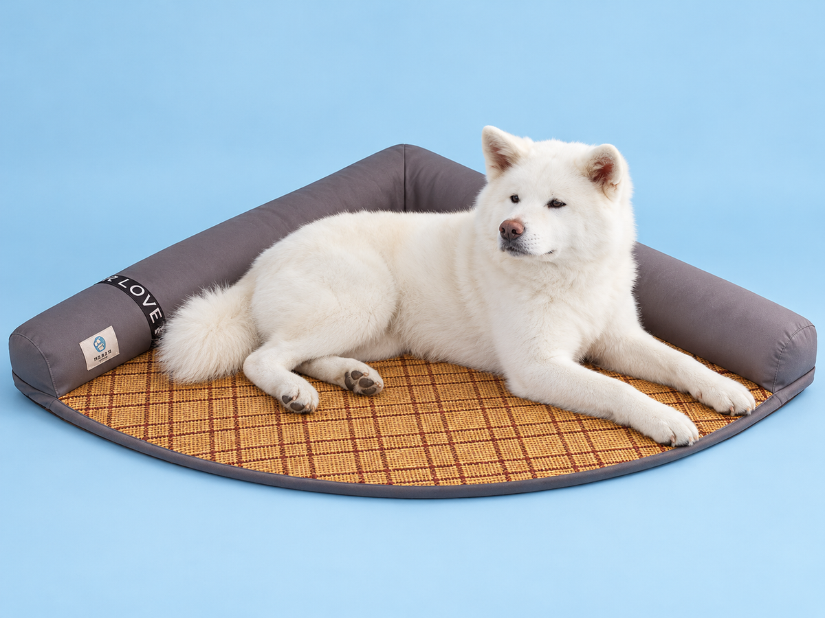 Tapis gris avec Neji — studio