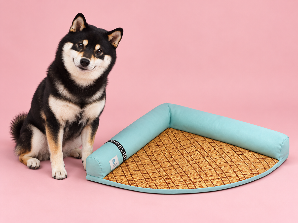 Tapis menthe avec Seiji — studio